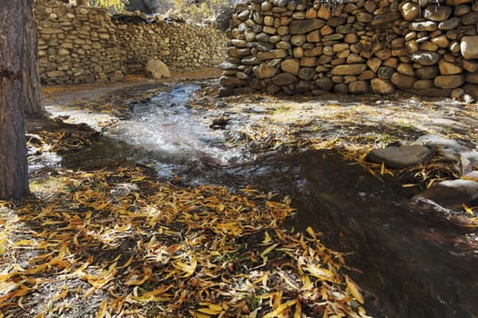 A street with a stream running along it and trees with yellow leaves in a mountain village in Nepal