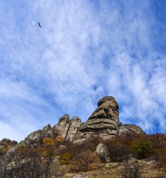 Autumn landscape in the mountains on a cloudy day