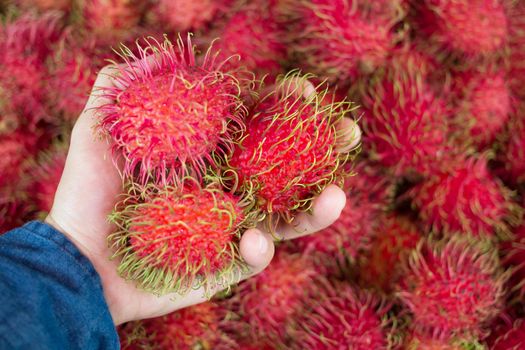 Rambutan is at a supermarket store.