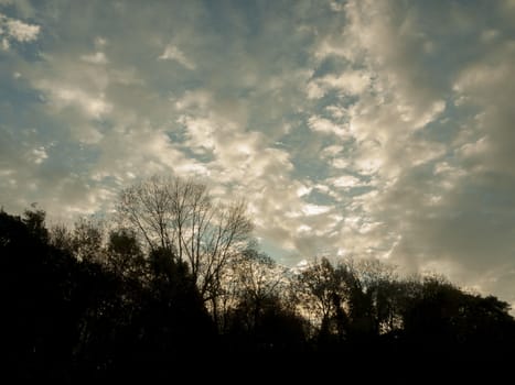 beautiful autumn morning sun rise back lit tree silhouette sky line clouds; essex; england; uk