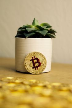Digital currency physical metal bitcoin coin on the gold money background. Money concept.