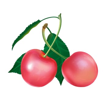 Cherry with leaves. Isolated illustration on white background.