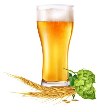 Glass of beer and hops. Isolated illustration on white background.
