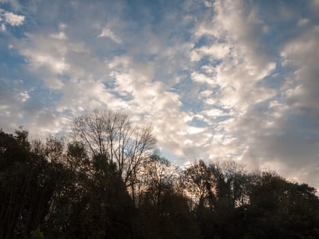 stunning dramatic morning cloudy blue sky overhead space; essex; england; uk