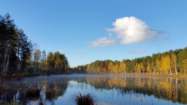 autumn morning. Yellow forest and blue sky with white clouds reflection on the mirror water on the forest lake