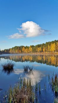 autumn morning. Yellow forest and blue sky with white clouds reflection on the mirror water on the forest lake