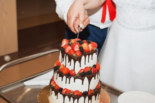 elegant pretty young bride and groom cut the wedding cake.