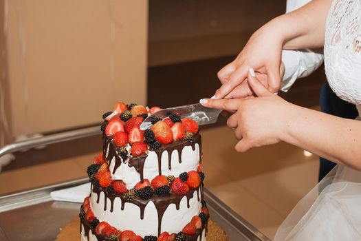 elegant pretty young bride and groom cut the wedding cake.