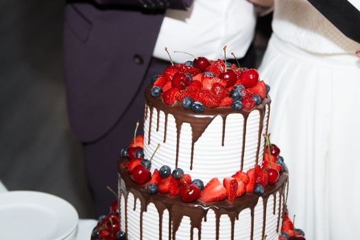 elegant pretty young bride and groom cut the wedding cake.