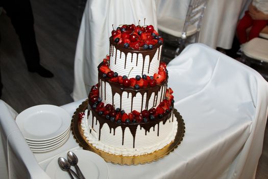 elegant pretty young bride and groom cut the wedding cake.