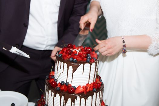 elegant pretty young bride and groom cut the wedding cake.