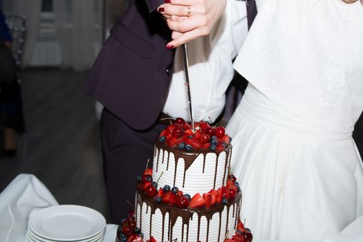 elegant pretty young bride and groom cut the wedding cake.