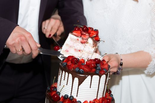 elegant pretty young bride and groom cut the wedding cake.