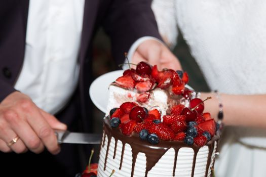 elegant pretty young bride and groom cut the wedding cake.