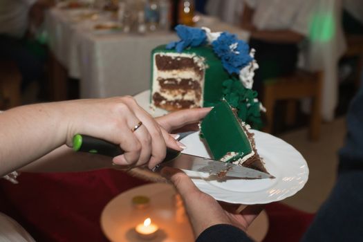 elegant pretty young bride and groom cut the wedding cake.