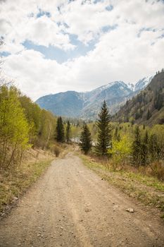 Forest road to the mountains on a warm spring day
