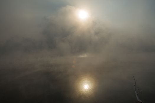 the frosty morning mist