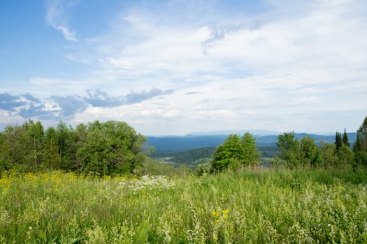 Field, forest and mountain