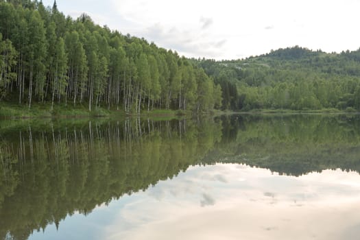 lake of the woods in calm weather in the summer