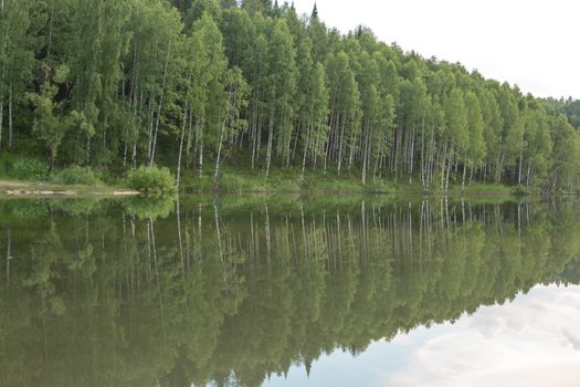 lake of the woods in calm weather in the summer