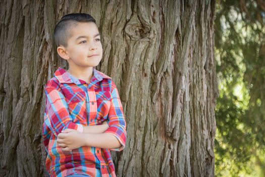 Mixed Race Young Boy Standing Outdoors.