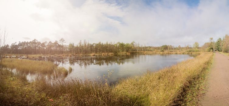 Panorma of a beautiful moor landscape in the lueneburger heide