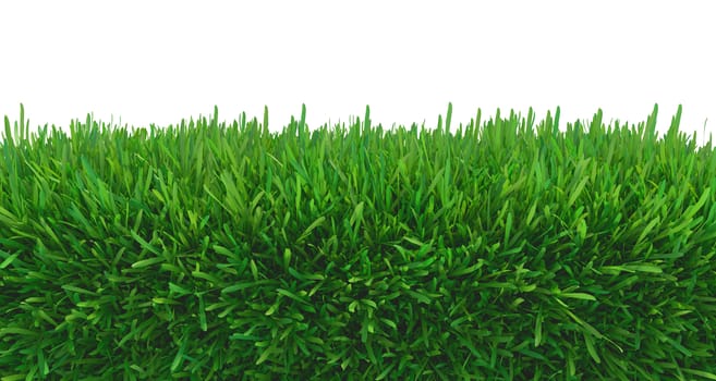 green grass nature. plants lawn. 3d rendering