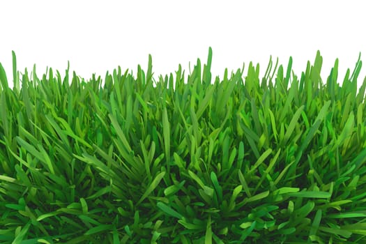 green grass meadow. plants lawn. 3d rendering