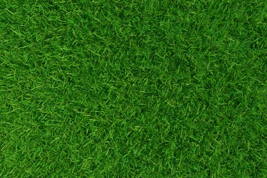 Green grass. background texture. fresh spring green grass. 3d rendering