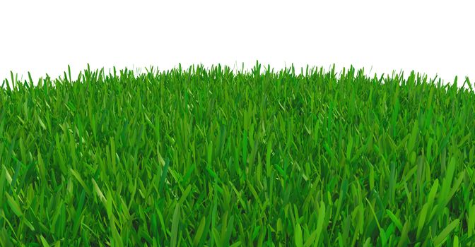Grass background texture. fresh grass. 3d rendering