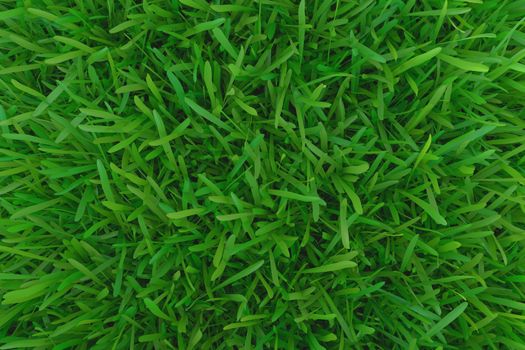 Green grass. background texture. fresh spring green grass. 3d rendering