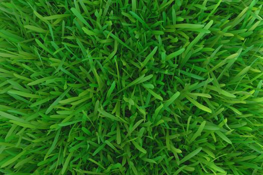 Green grass. background texture. fresh spring green grass. 3d rendering