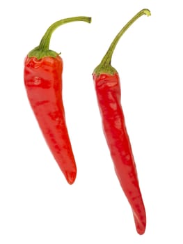 Tho red hot chilli on white background
