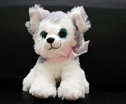 Soft toy little white cute doggie isolated on black background.