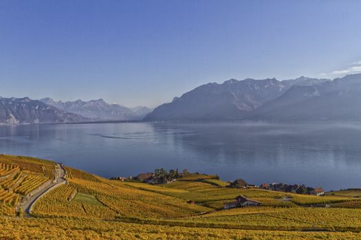 View over lake Geneva from the Lavaux vines