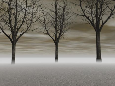 landscape image with trees silhouette it isolated in white background - 3d rendering