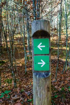 Sign post in the woods, both ways, left and right, white arrow on green plate