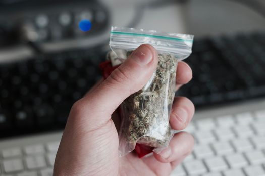Green dry marijuana in man hand on the blurry background. Weed concept.