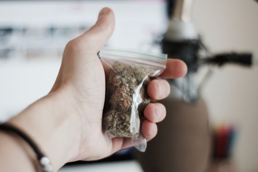 Green dry marijuana in man hand on the blurry background. Weed concept.