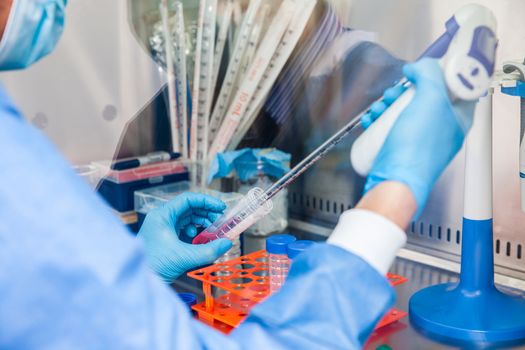 Young scientist working in a safety laminar air flow cabinet at laboratory