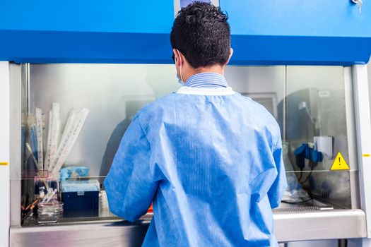 Young scientist working in a safety laminar air flow cabinet at laboratory