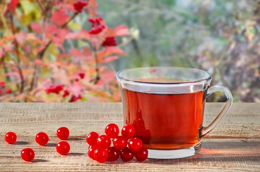 Cup of black tea, viburnum berries on a rustick wooden table. Black tea in a transparent cup with a blurry background.