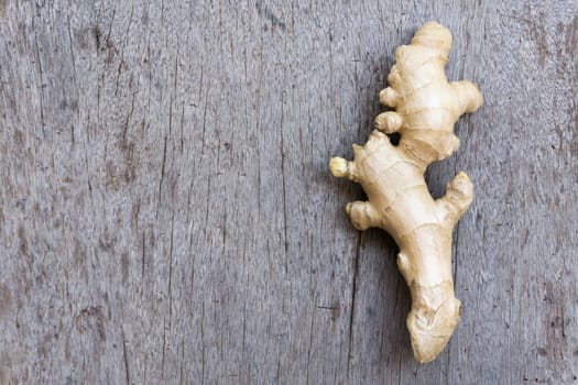 Closeup ginger roots with wood background, coppy space for text or ginger product concept