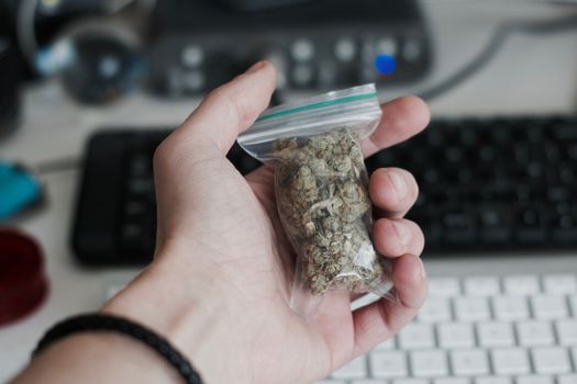 Green dry marijuana in man hand on the blurry background. Weed concept.