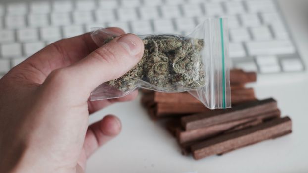 Green dry marijuana in man hand on the blurry background. Weed concept.