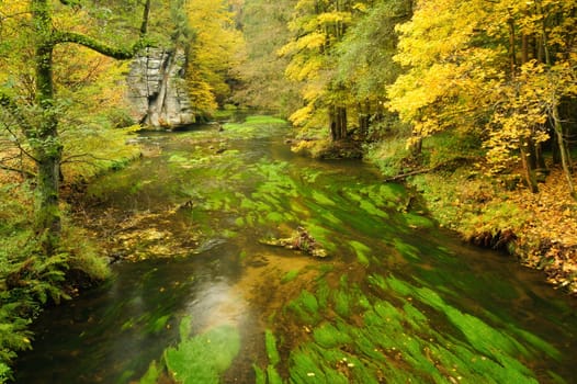 Autumn colored trees, leaves, rocks around the beautiful river