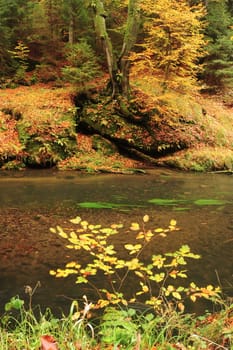 Autumn colored trees, leaves, rocks around the beautiful river