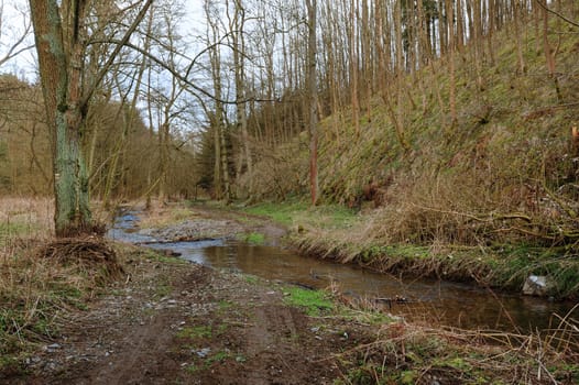 Spring creek with cold water, heavy sky and trees 