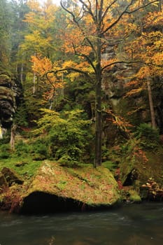 Autumn colored trees, leaves, rocks around the beautiful river