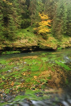 Autumn colored trees, leaves, rocks around the beautiful river